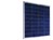 Solarmodul 50 Watt 12 Volt Polykristallin