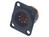 XLR Einbaustecker Male 5-Pol ENOVA XL15MB-W