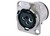 3-Pole Female XLR Receptacle PCB Mount D Series NEUTRIK NC3FD-V