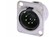 6-Pole Male XLR Receptacle Solder DL Series NC6MD-L-1