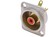 Cinch (RCA) Einbaubuchse D-Serie Nickel rot Contrik NF2D2