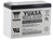 Lead-Acid Rechargeable Battery 12V 10Ah Faston Yuasa REC10-12