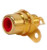 Stecker-Cinch-SGO4-50.jpg
