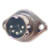 Stecker-DIN8-50.jpg
