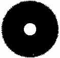 WOE.P.jpg (8972 bytes)