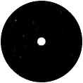 WOE.T.jpg (8576 bytes)