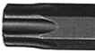 Torx.jpg (7515 bytes)