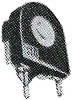 RER.CV.jpg (10258 bytes)